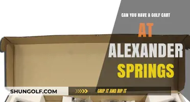 Exploring Alexander Springs: Golf Cart Rules and Recreation Options