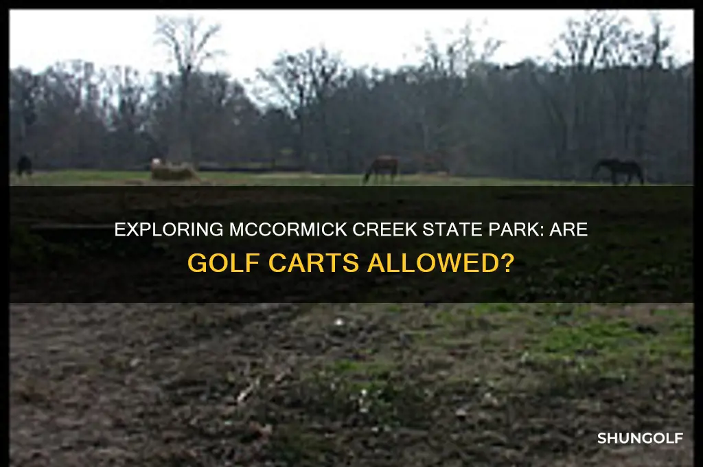 can you have golf carts at mccormick creek state park
