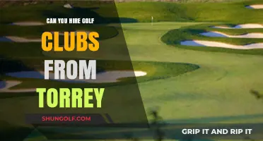 Hiring Golf Clubs at Torrey: Your Ultimate Rental Guide