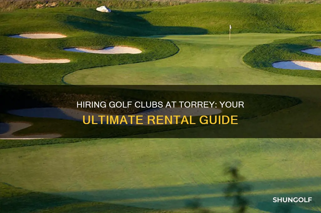 can you hire golf clubs from torrey