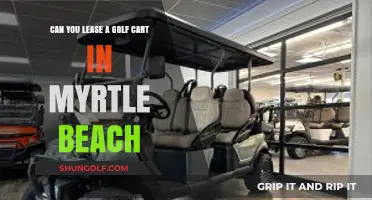 Leasing Golf Carts in Myrtle Beach: Your Ultimate Guide to Options