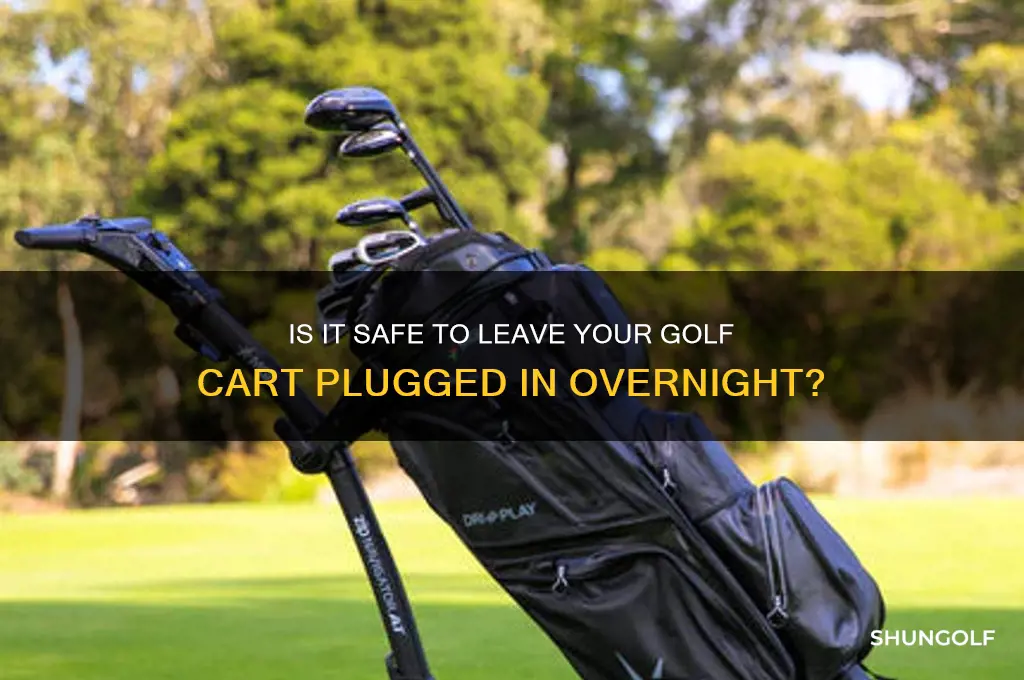 can you leave a golf cart plugged in overnight
