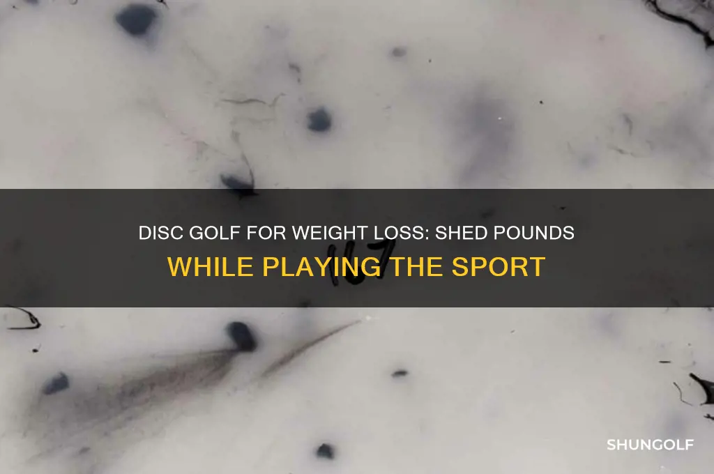 can you lose weight by playing disc golf