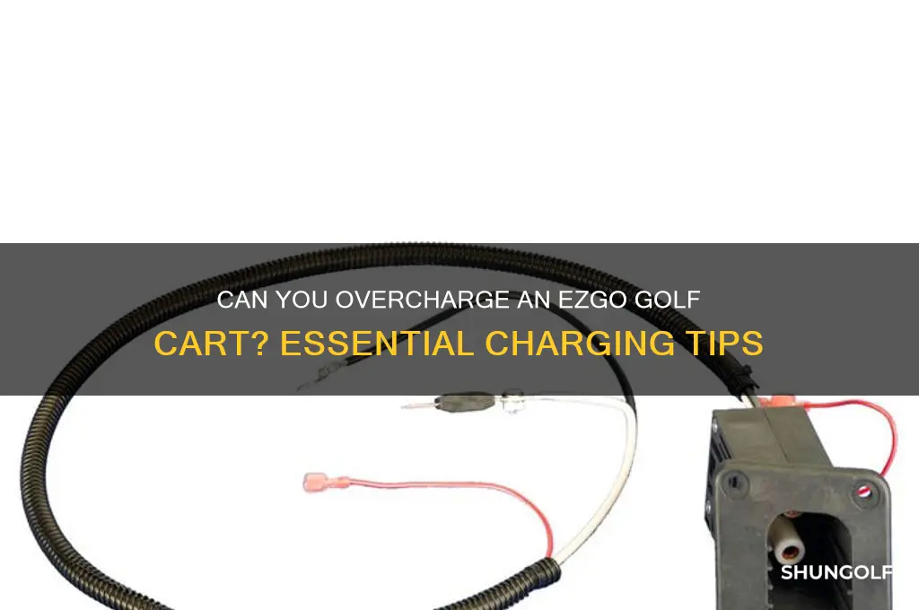 can you overcharge an ezgo golf cart