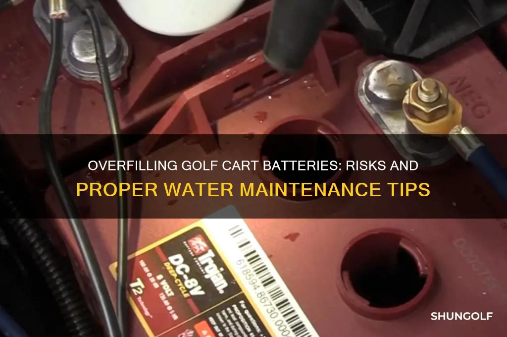 can you overfill golf cart batteries with water