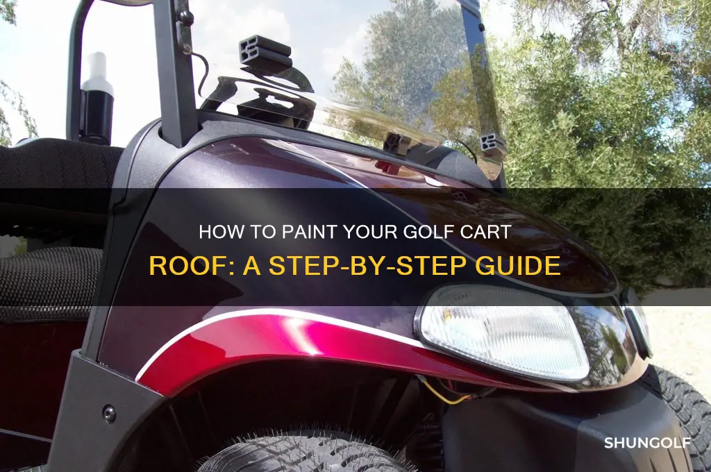 can you paint a golf cart roof