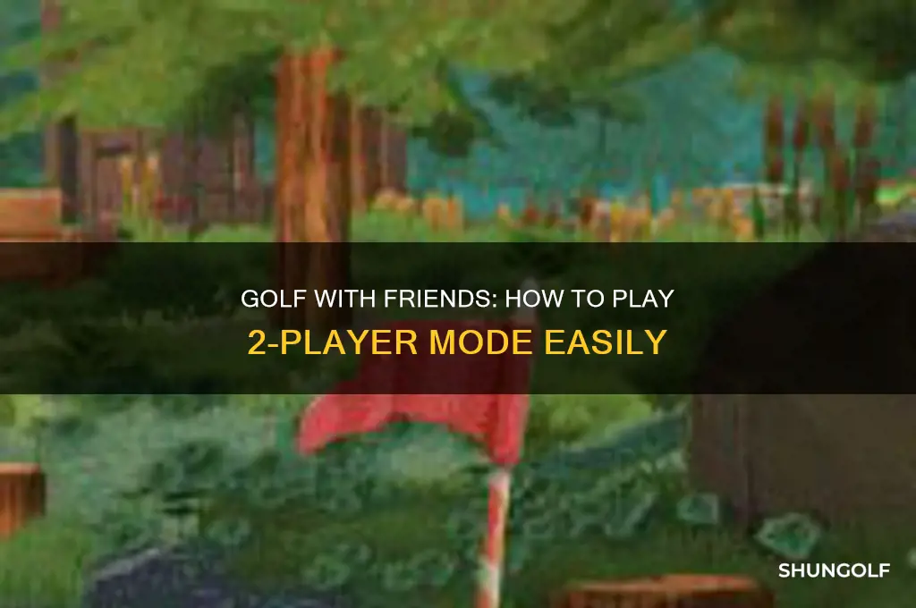 can you play 2 player on golf with friends