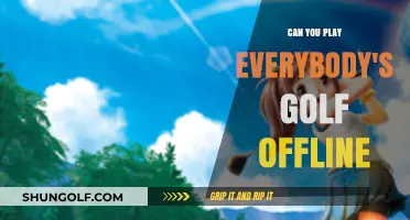 Everybody's Golf Offline Mode: Play Without Internet Connection