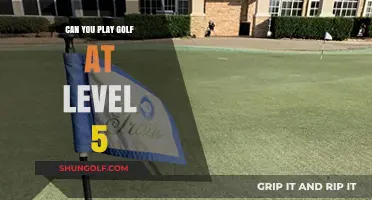 Playing Golf at Level 5: Challenges, Tips, and Possibilities