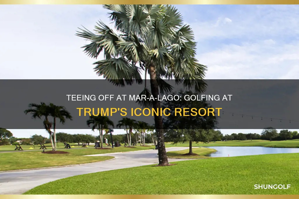 can you play golf at mar a lago