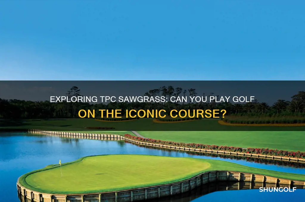 can you play golf at tpc sawgrass