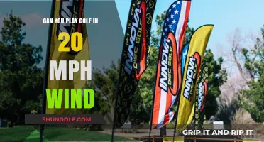 Golfing in 20 MPH Winds: Challenges, Tips, and Strategies to Succeed