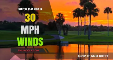 Golfing in 30 mph Winds: Challenges, Tips, and Strategies to Succeed