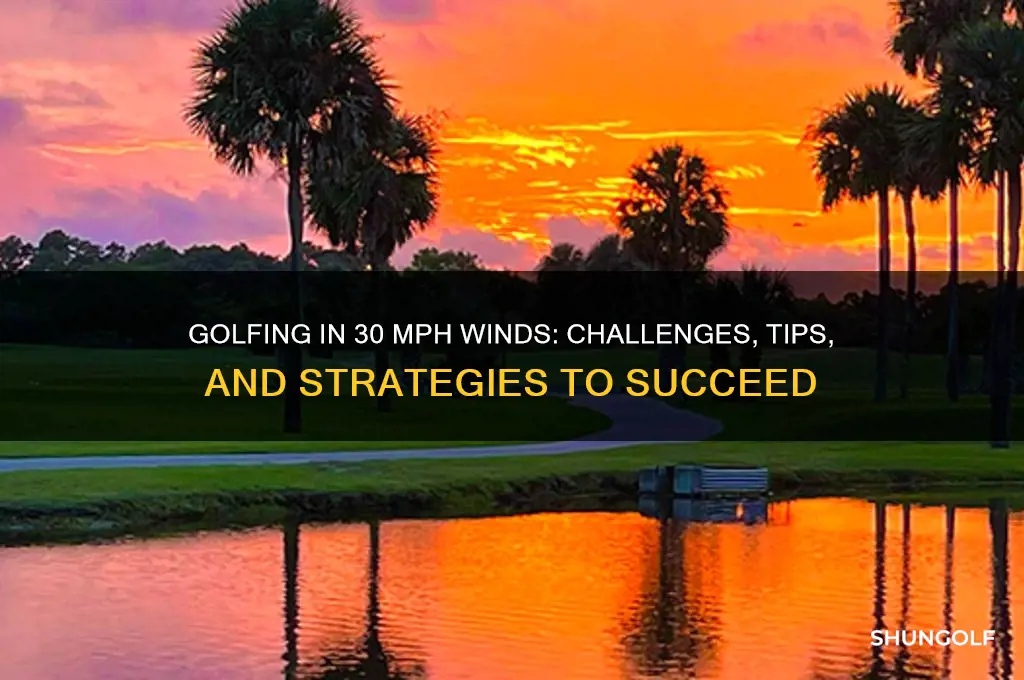 can you play golf in 30 mph winds