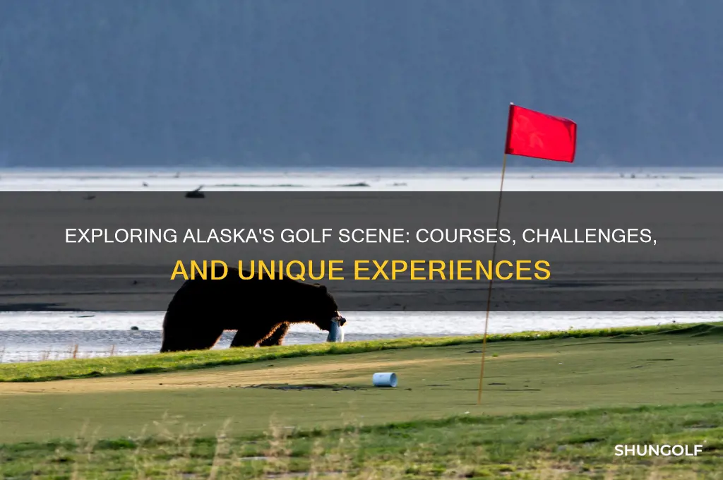 can you play golf in alaska