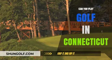 Exploring Connecticut's Golf Scene: Courses, Seasons, and Playing Tips