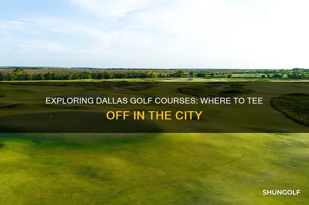can you play golf in dallas