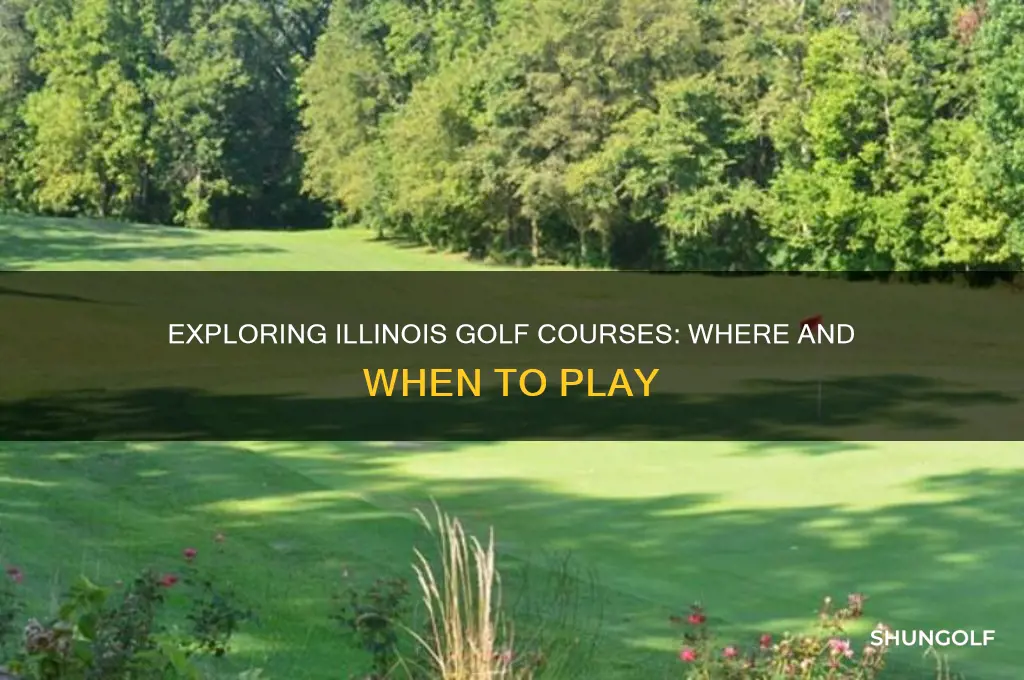 can you play golf in illinois