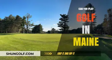 Exploring Maine's Golf Courses: A Guide to Playing Golf in Maine