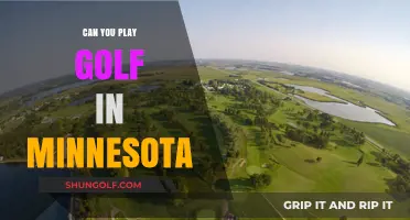 Exploring Minnesota's Golf Scene: Courses, Seasons, and Playing Tips