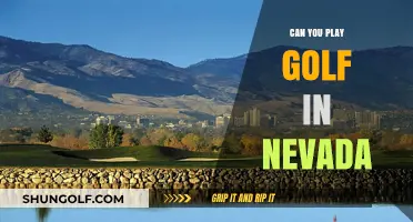 Exploring Nevada's Golf Courses: A Guide to Playing in the Silver State