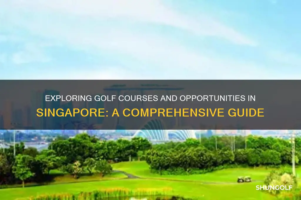 can you play golf in singapore