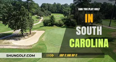 Exploring South Carolina's Golf Courses: A Player's Guide and Tips