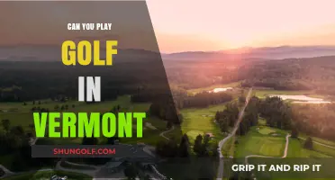 Exploring Vermont's Golf Courses: A Guide to Playing Golf in Vermont