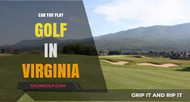 Exploring Virginia's Golf Courses: A Guide to Playing Golf in VA