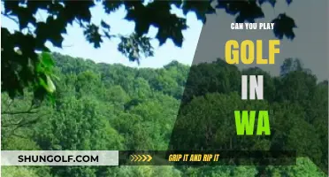 Exploring Golf Courses and Opportunities in Washington State
