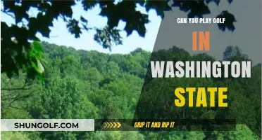 Exploring Washington State's Golf Courses: A Guide for Enthusiasts