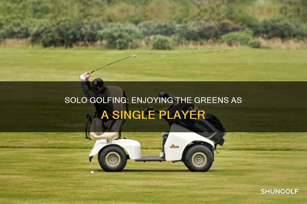 can you play golf it single player