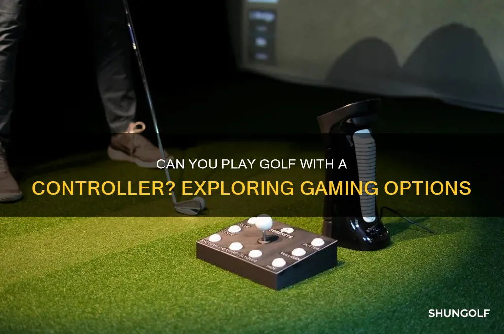 can you play golf it with a controller
