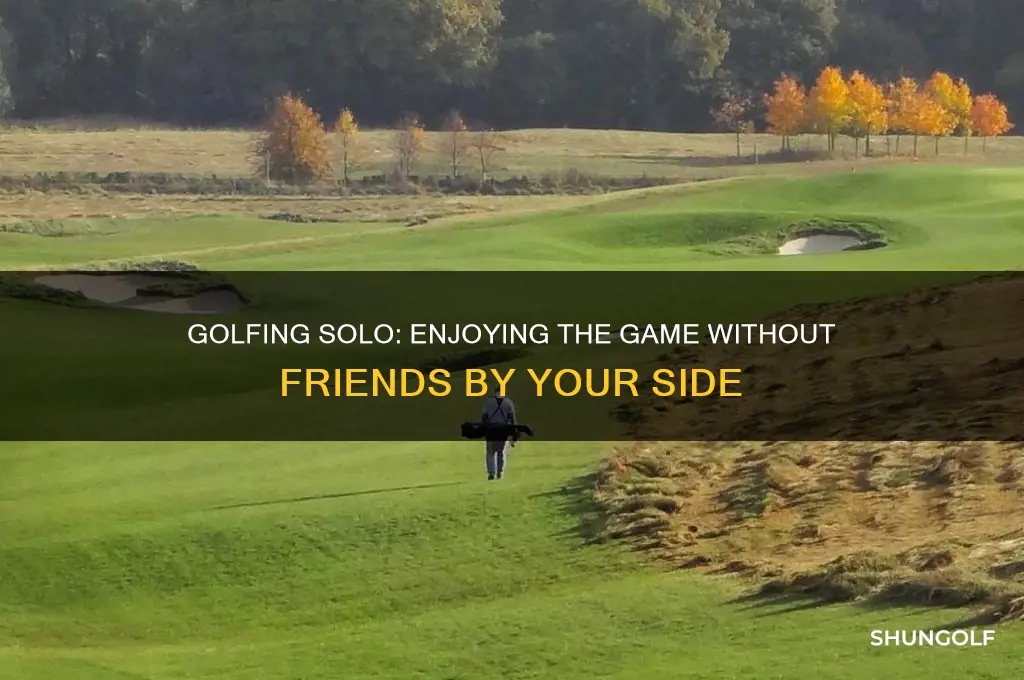 can you play golf it without friends