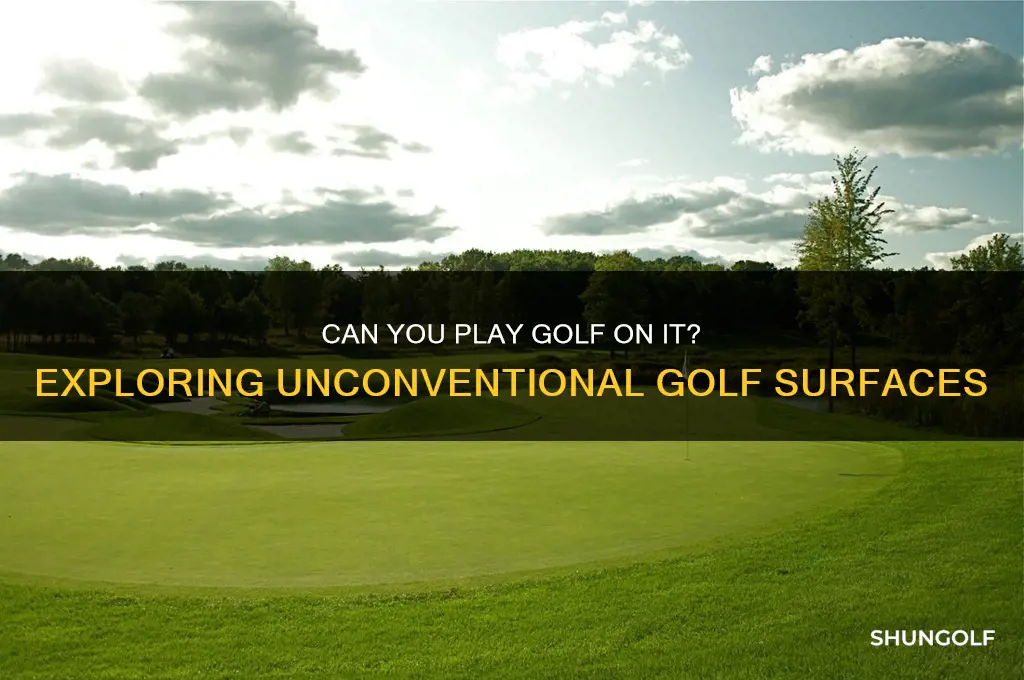 can you play golf it