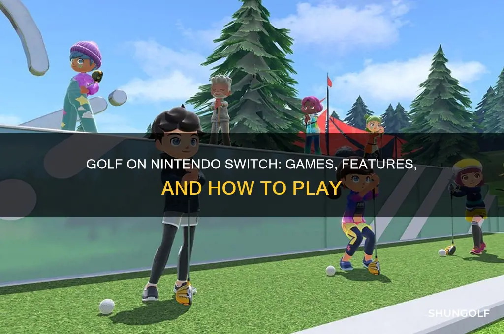 can you play golf on nintendo switch