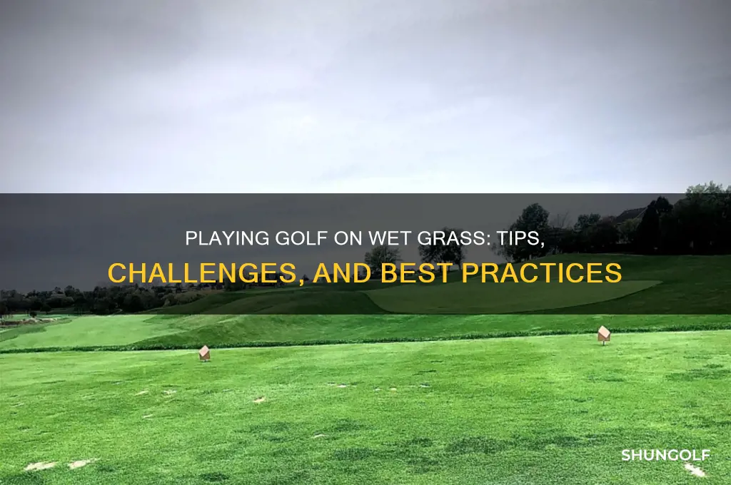 can you play golf on wet grass