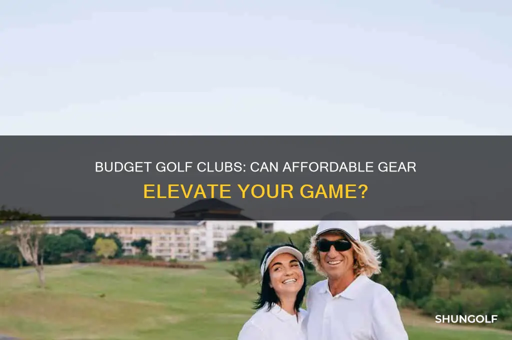 can you play good golf with cheap clubs