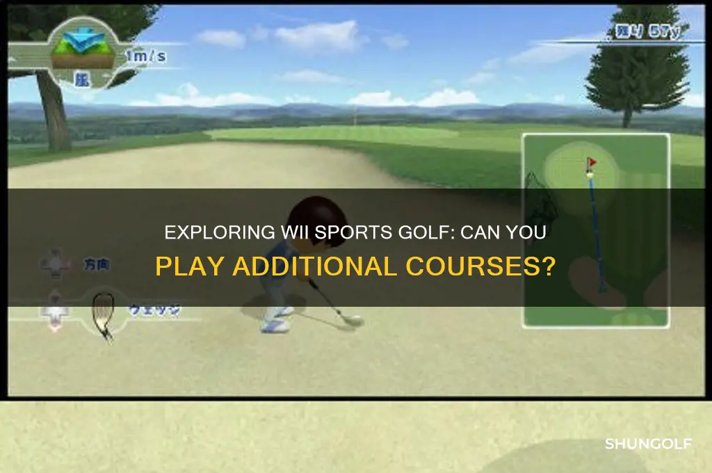 can you play other golf courses on wii sports golf