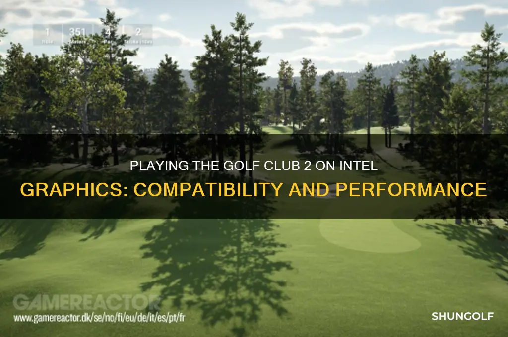 can you play the golf club 2 with intel graphics