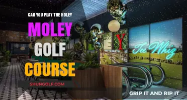Can You Play the Holey Moley Golf Course? Here's How