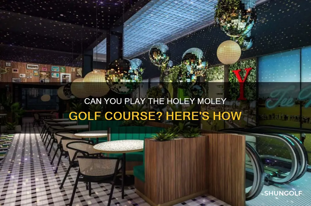 can you play the holey moley golf course
