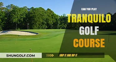 Exploring Tranquilo Golf Course: Playability, Features, and Tips for Golfers