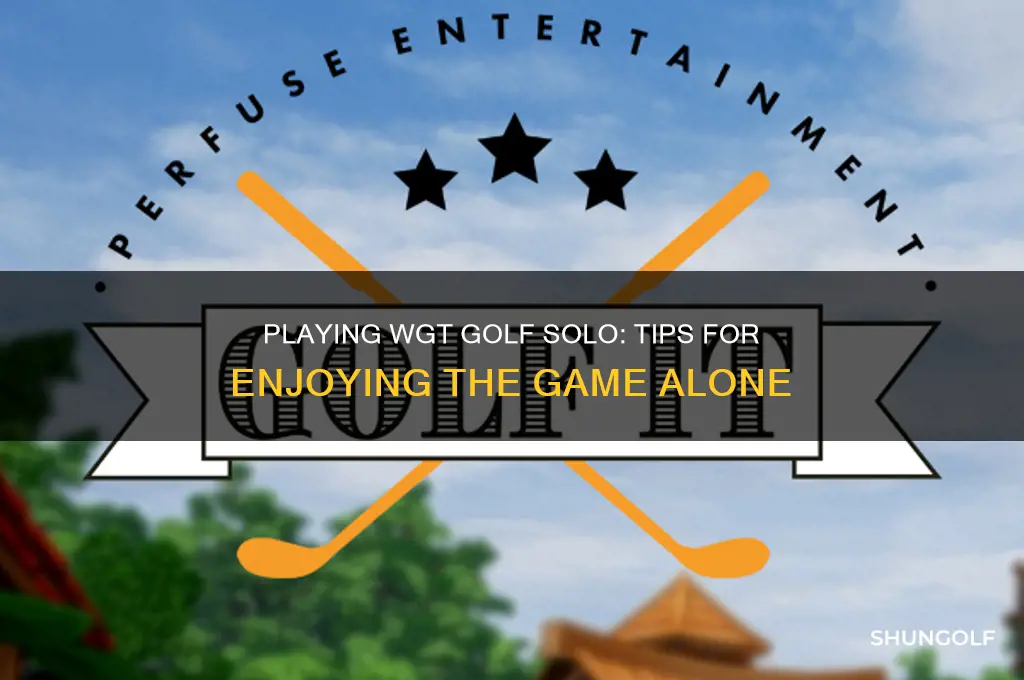 can you play wgt golf alone
