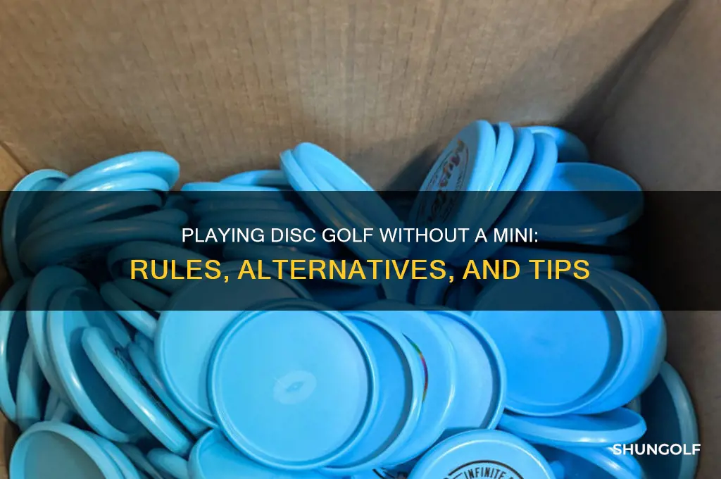 can you play without a mini disc golf