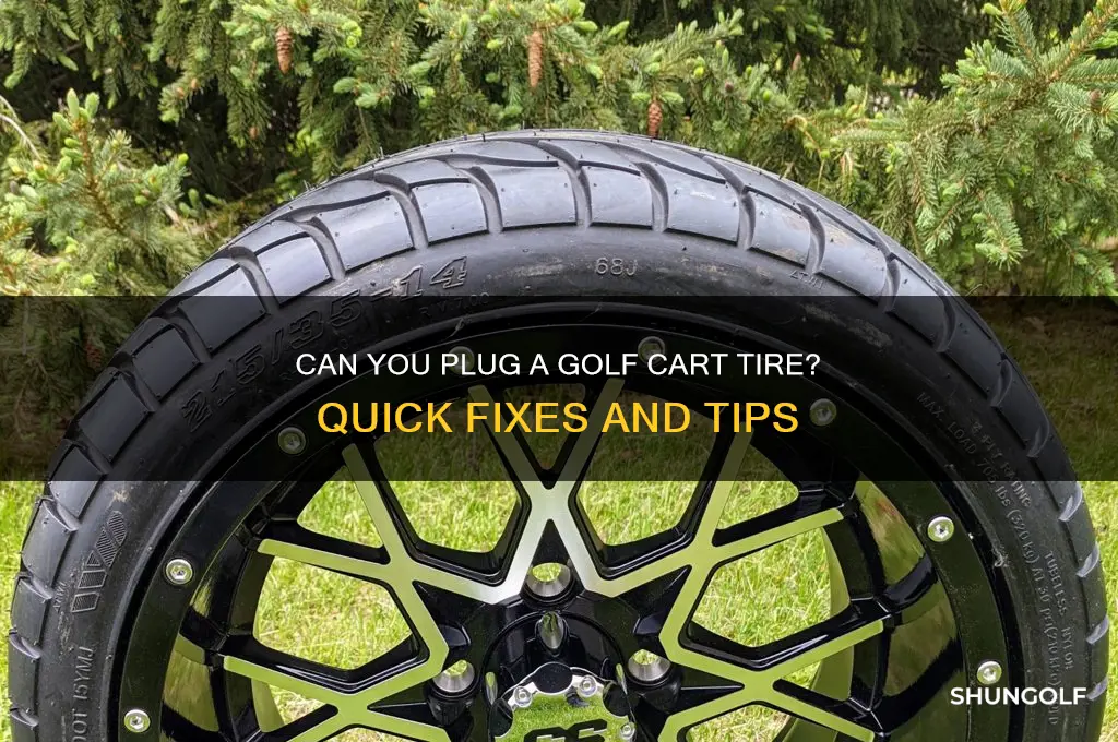 can you plug a golf cart tire