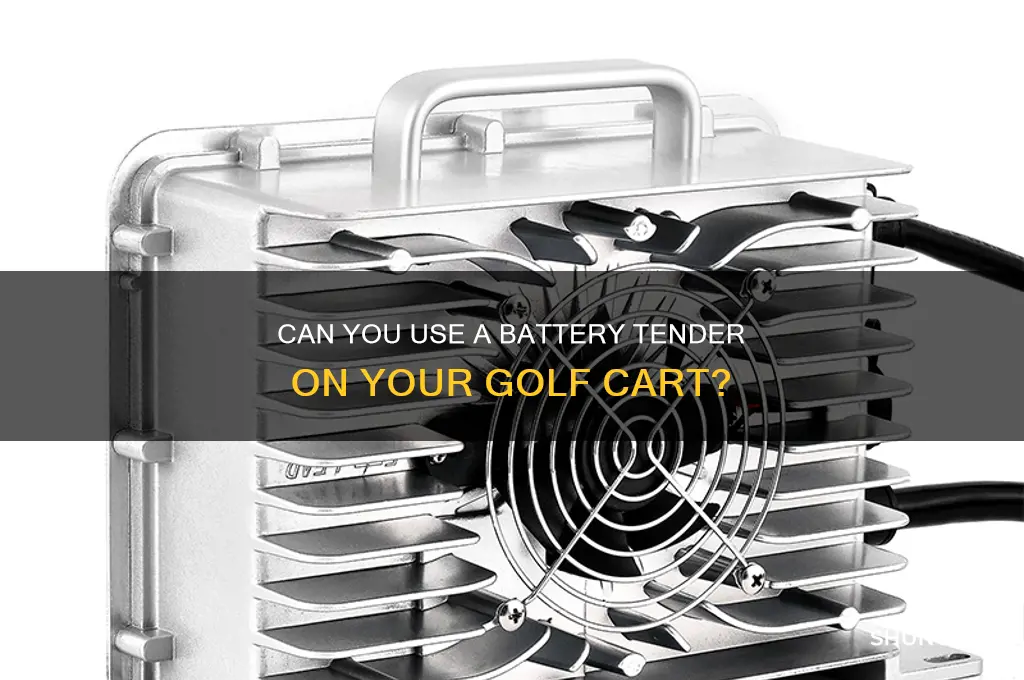 can you put a battery tender on a golf cart