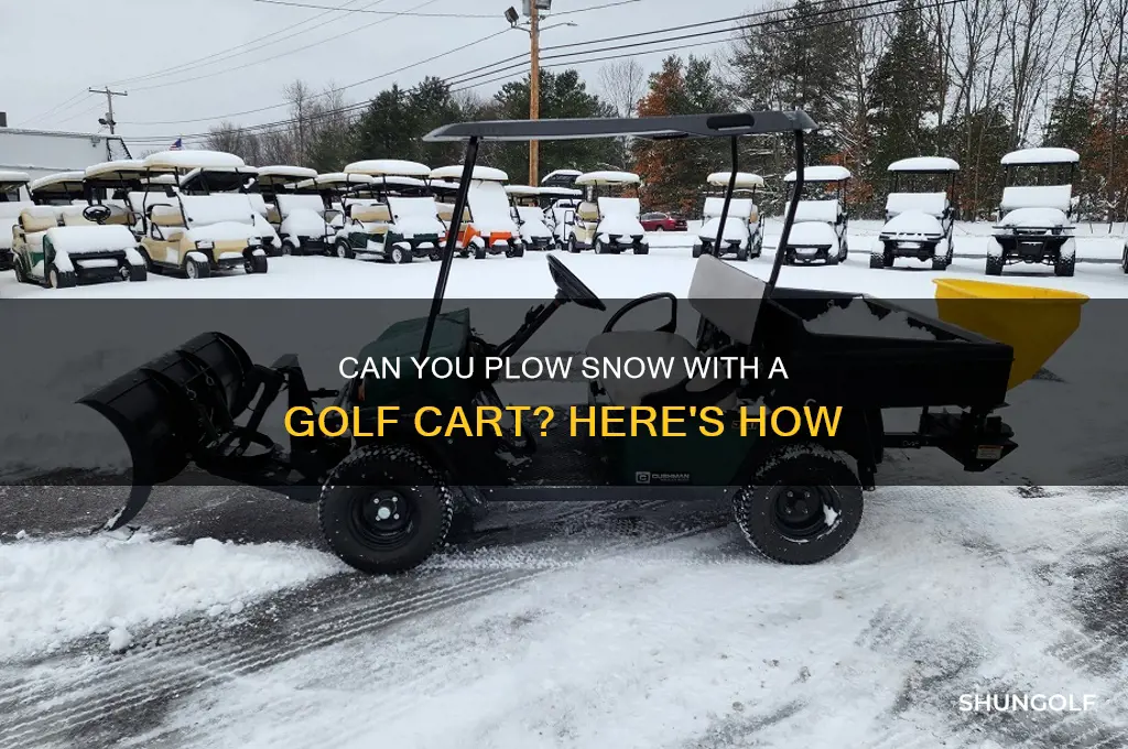 can you put a plow on a golf cart