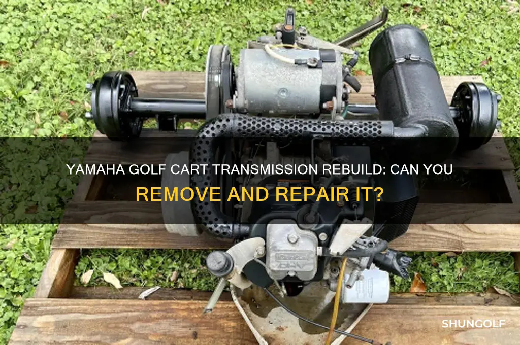 can you remove yamaha golf cart transmission rebuild