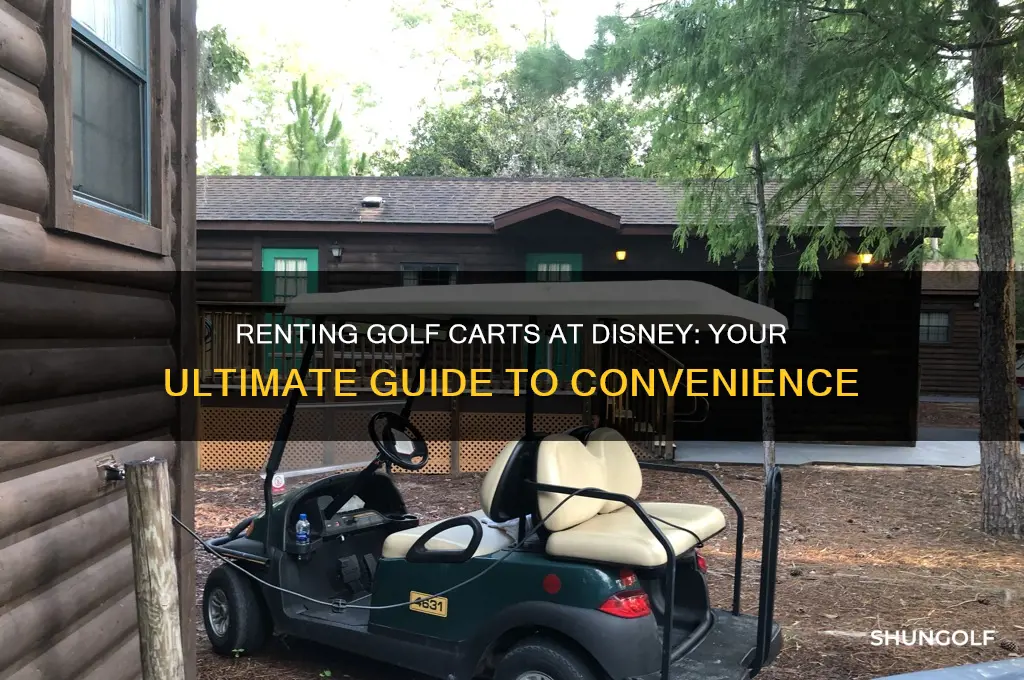 can you rent a golf cart at disney